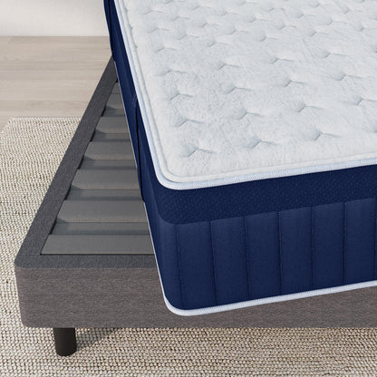 Adjustable Frame Bundle